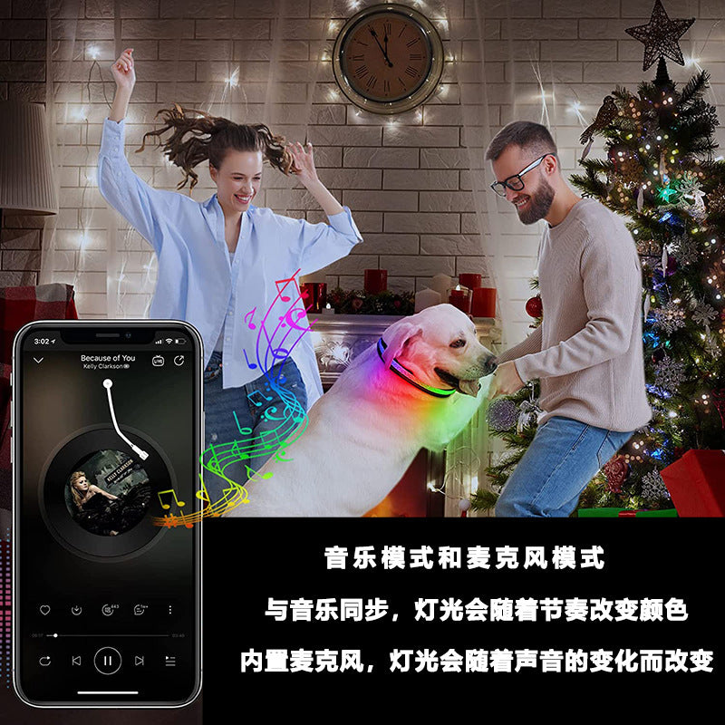 LED Pet Collar w/ USB Recharge | Mobile App, Luminous Design