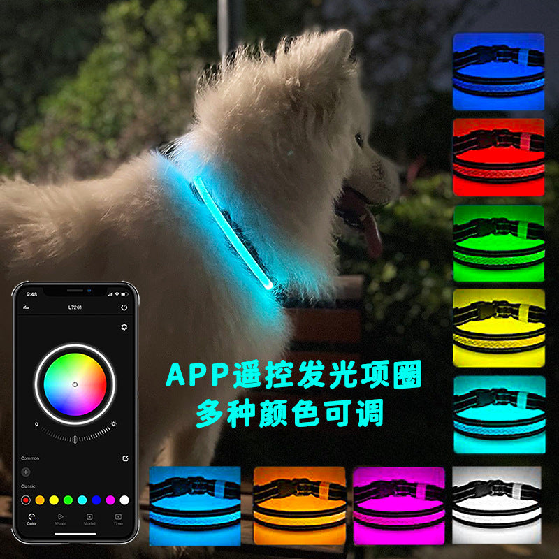 LED Pet Collar w/ USB Recharge | Mobile App, Luminous Design