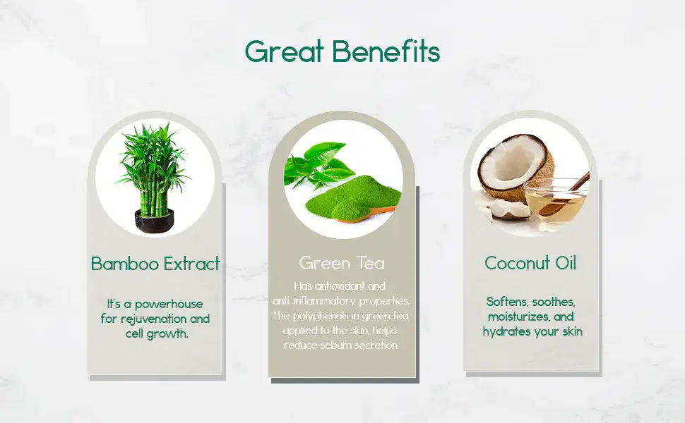 Infographic highlighting benefits of bamboo extract, green tea, and coconut oil for skin rejuvenation and hydration.