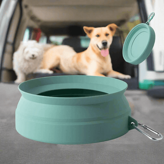 Collapsible Morandi Green dog water bowl for travel, designed to prevent spills and keep pets hydrated on road trips.